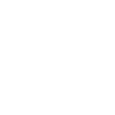 Metinvest Holding